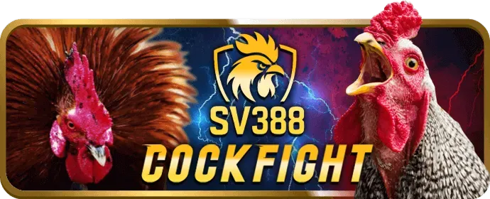 Đá gà Thomo trực tiếp 96win code